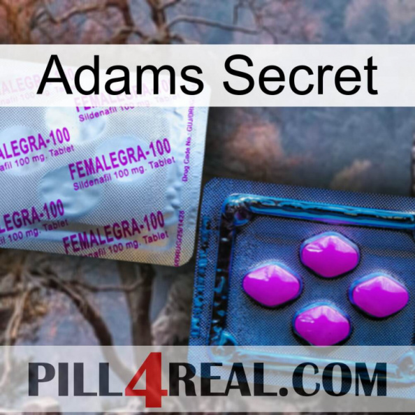 Adams Secret 37
